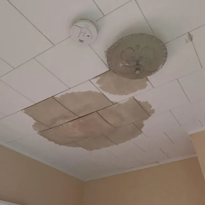 Ceiling Water Damage Repair in Newburg, KY