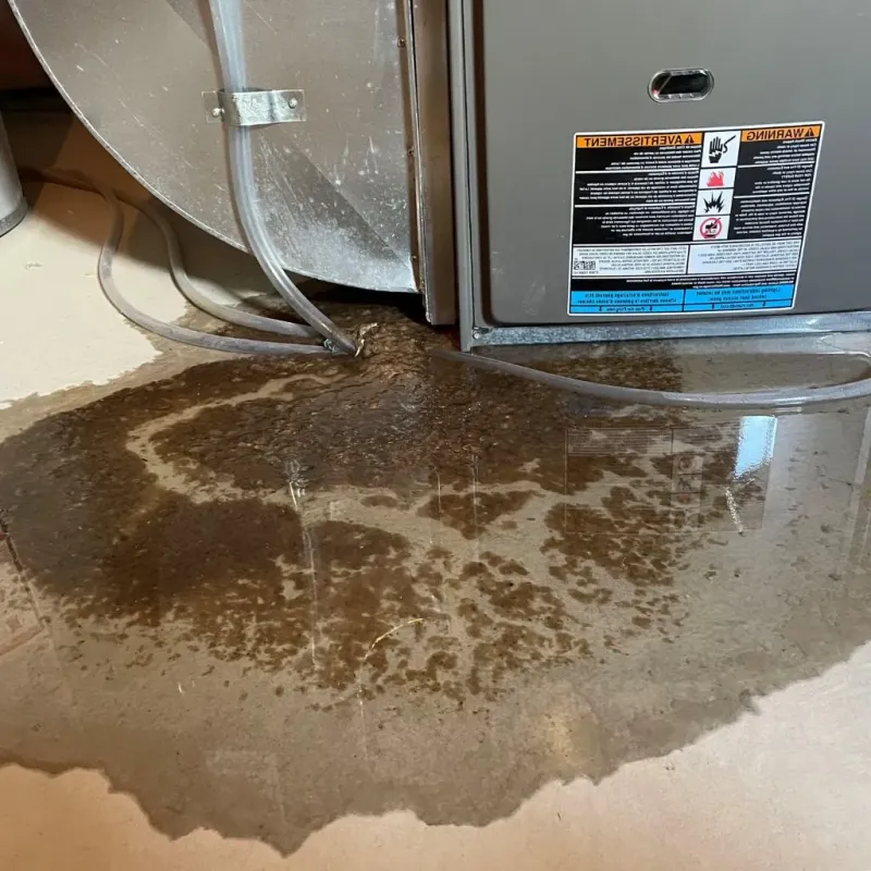 Pipe Burst and Leak Restoration in Newburg, KY