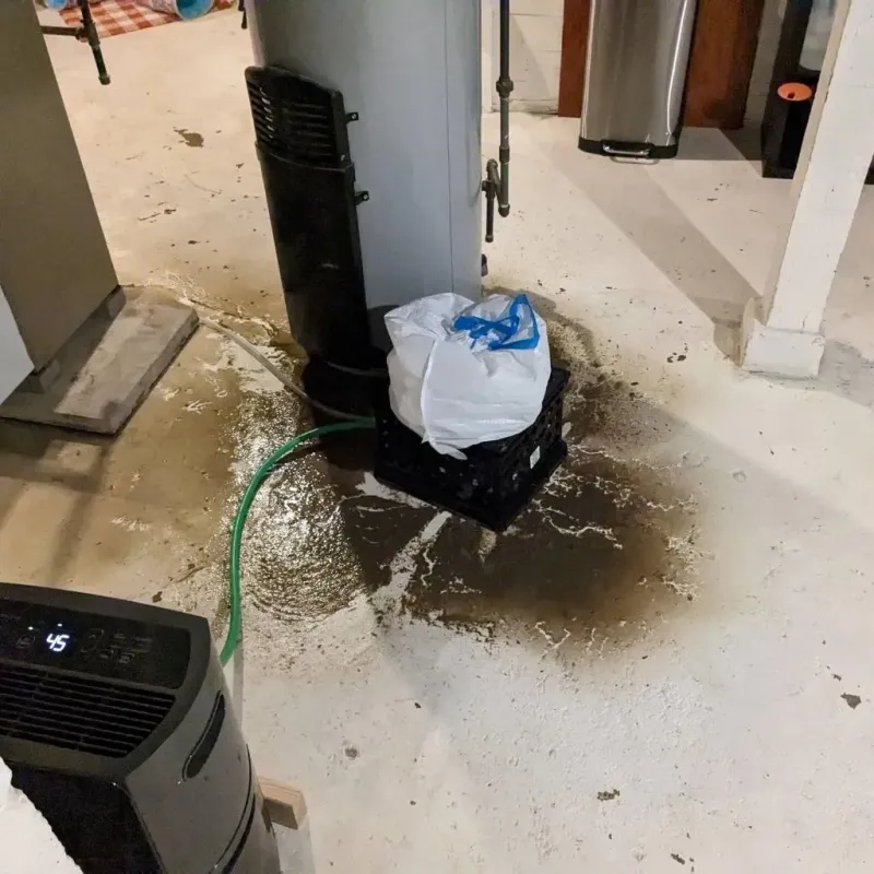 Sewage Backup Cleanup Service in Newburg, KY
